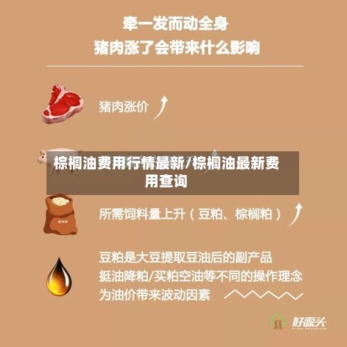 棕榈油费用行情最新/棕榈油最新费用查询-第2张图片