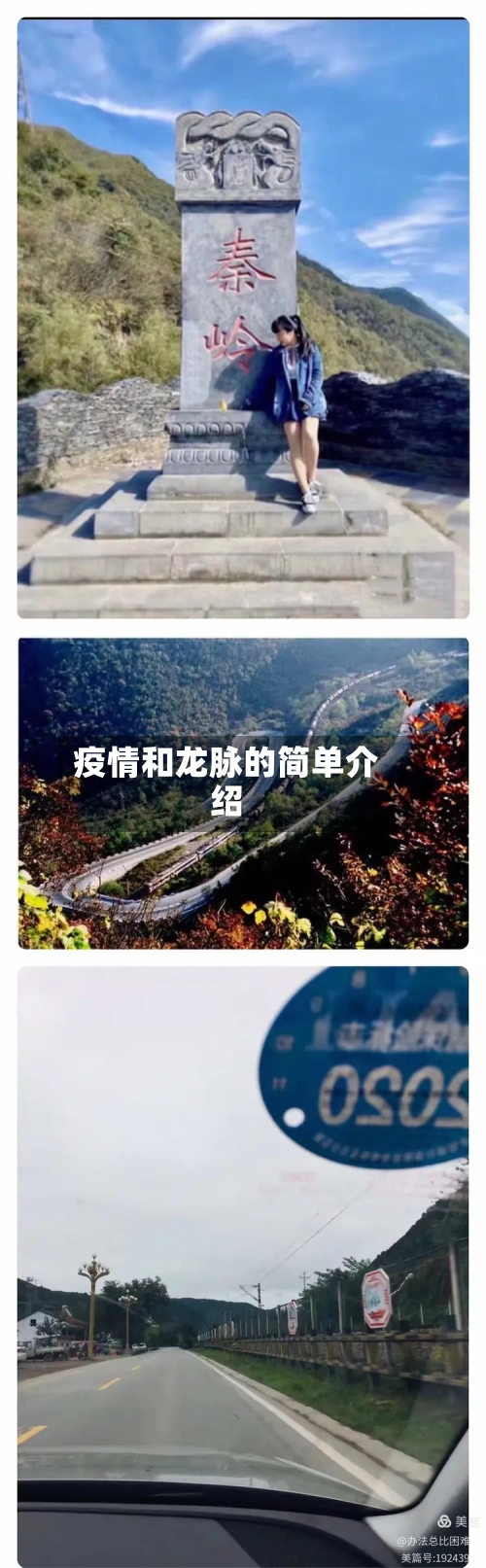 疫情和龙脉的简单介绍