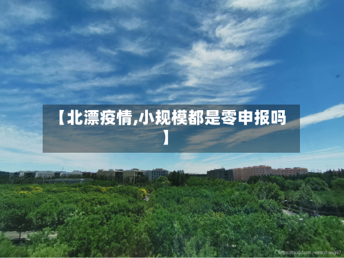【北漂疫情,小规模都是零申报吗】