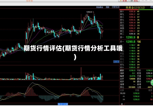 期货行情评估(期货行情分析工具哦)
