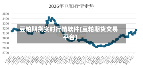 豆粕期货实时行情软件(豆粕期货交易平台)
