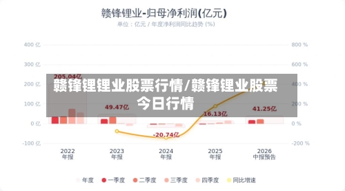 赣锋锂锂业股票行情/赣锋锂业股票今日行情