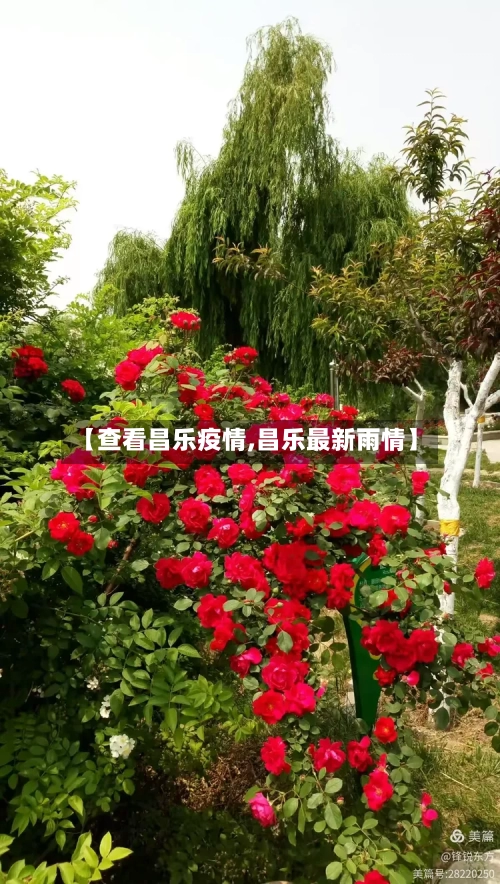 【查看昌乐疫情,昌乐最新雨情】-第2张图片