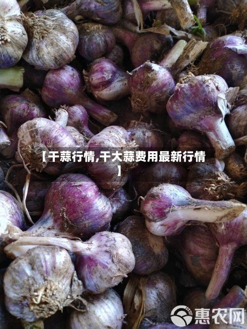 【干蒜行情,干大蒜费用最新行情】