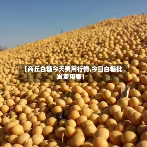 【商丘白糖今天费用行情,今日白糖批发费用表】