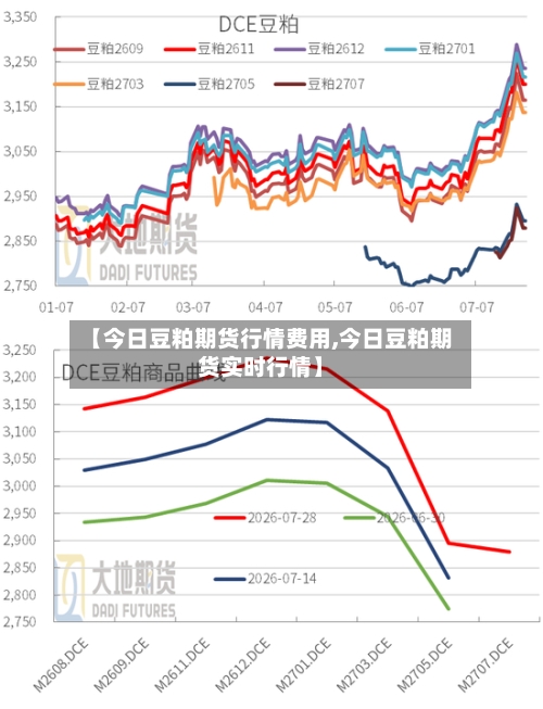 【今日豆粕期货行情费用,今日豆粕期货实时行情】-第3张图片