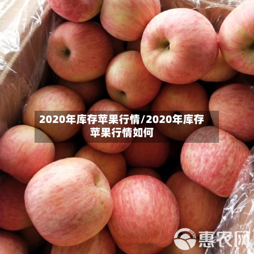2020年库存苹果行情/2020年库存苹果行情如何