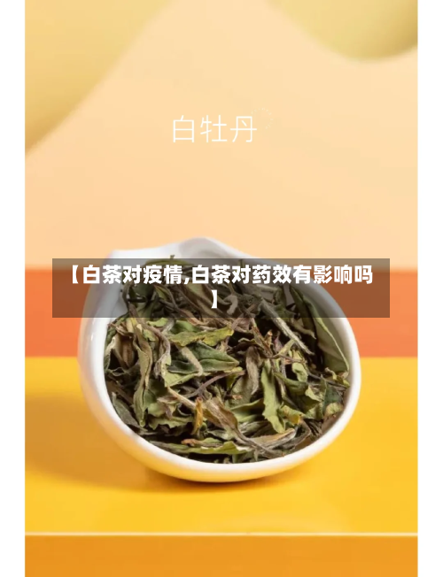 【白茶对疫情,白茶对药效有影响吗】