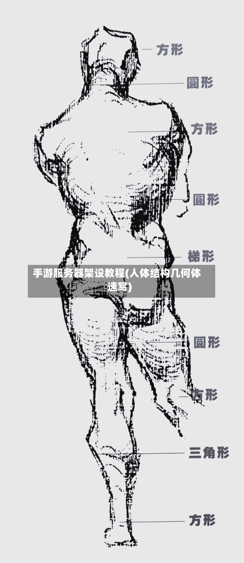 手游服务器架设教程(人体结构几何体速写)-第2张图片