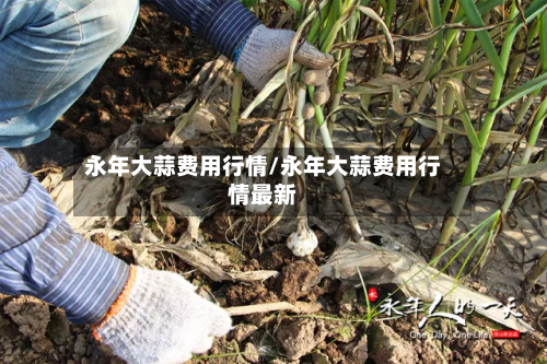 永年大蒜费用行情/永年大蒜费用行情最新-第2张图片