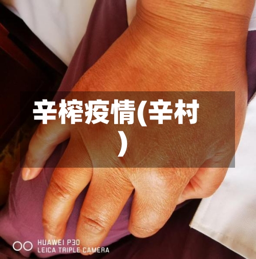 辛榨疫情(辛村)
