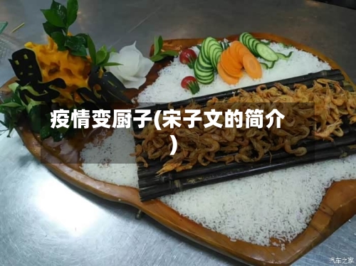 疫情变厨子(宋子文的简介)-第3张图片