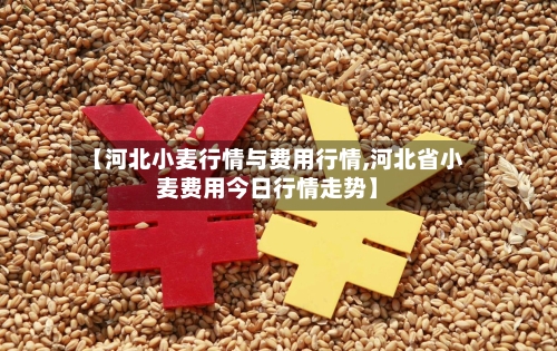 【河北小麦行情与费用行情,河北省小麦费用今日行情走势】
