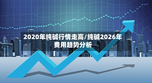 2020年纯碱行情走高/纯碱2026年费用趋势分析-第3张图片