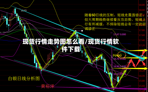 现货行情走势图怎么看/现货行情软件下载-第3张图片