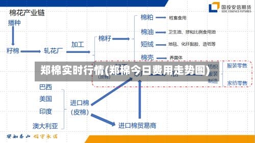 郑棉实时行情(郑棉今日费用走势图)-第2张图片