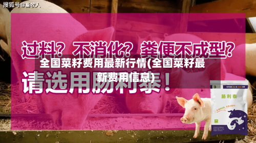 全国菜籽费用最新行情(全国菜籽最新费用信息)-第2张图片