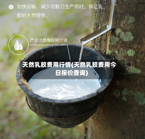 天然乳胶费用行情(天然乳胶费用今日报价查询)