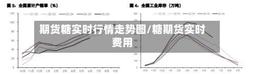 期货糖实时行情走势图/糖期货实时费用