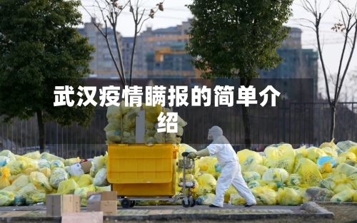 武汉疫情瞒报的简单介绍-第2张图片