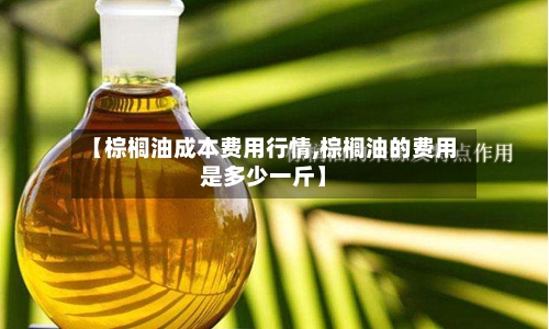 【棕榈油成本费用行情,棕榈油的费用是多少一斤】