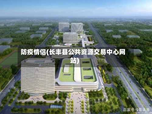 防疫情侣(长丰县公共资源交易中心网站)-第2张图片