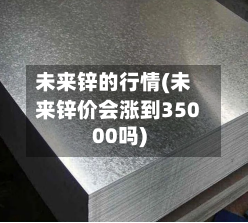 未来锌的行情(未来锌价会涨到35000吗)