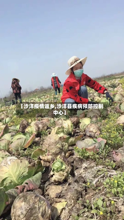 【沙洋疫情返乡,沙洋县疾病预防控制中心】-第3张图片