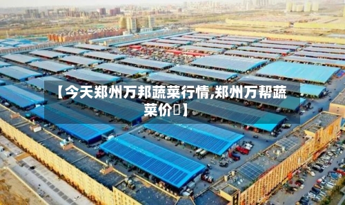 【今天郑州万邦蔬菜行情,郑州万帮蔬菜价挌】-第2张图片