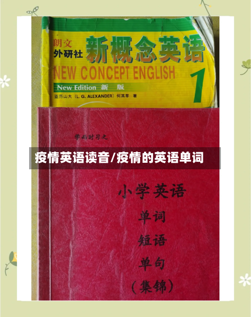 疫情英语读音/疫情的英语单词-第3张图片