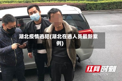湖北疫情逃犯(湖北在逃人员最新案例)
