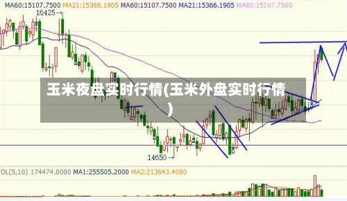 玉米夜盘实时行情(玉米外盘实时行情)