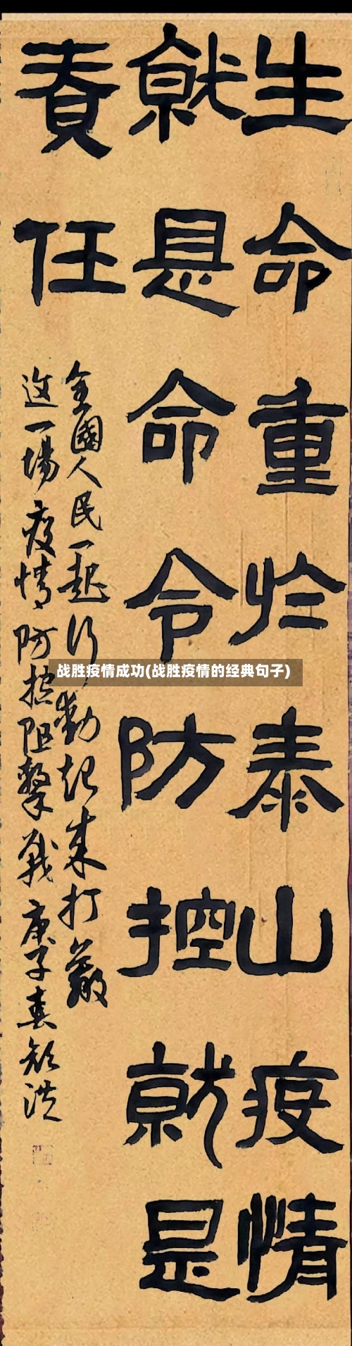 战胜疫情成功(战胜疫情的经典句子)-第2张图片