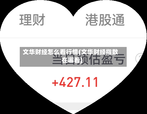 文华财经怎么看行情(文华财经指数在哪看)