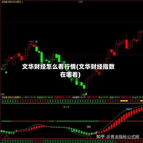 文华财经怎么看行情(文华财经指数在哪看)-第2张图片