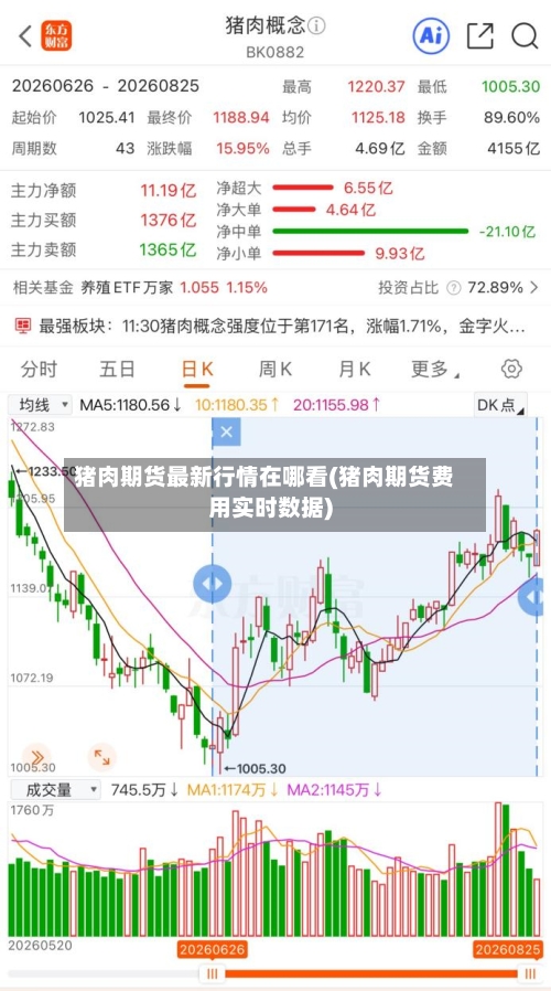 猪肉期货最新行情在哪看(猪肉期货费用实时数据)-第2张图片