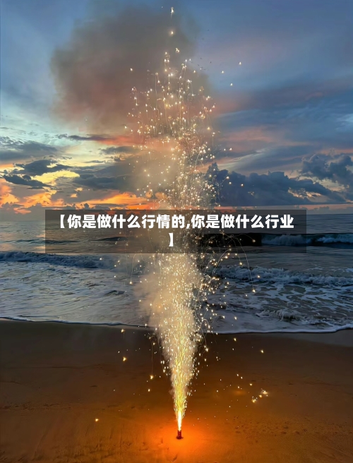 【你是做什么行情的,你是做什么行业】-第2张图片
