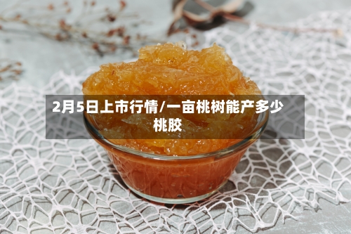 2月5日上市行情/一亩桃树能产多少桃胶