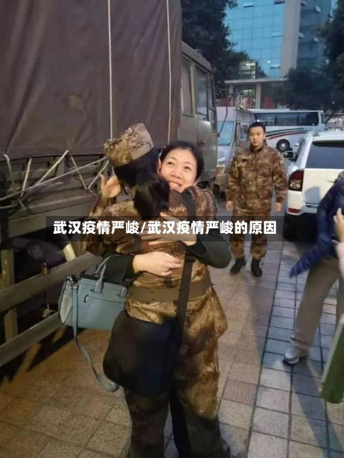 武汉疫情严峻/武汉疫情严峻的原因