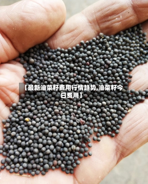 【最新油菜籽费用行情趋势,油菜籽今日费用】