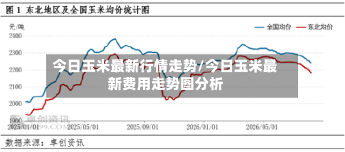 今日玉米最新行情走势/今日玉米最新费用走势图分析-第2张图片