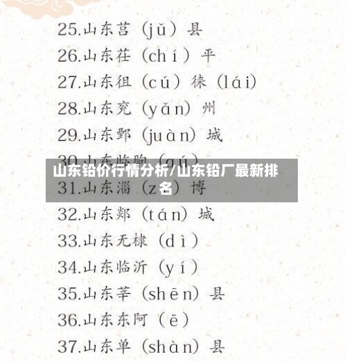 山东铅价行情分析/山东铅厂最新排名