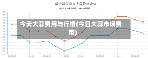 今天大蒜费用与行情(今日大蒜市场费用)-第3张图片