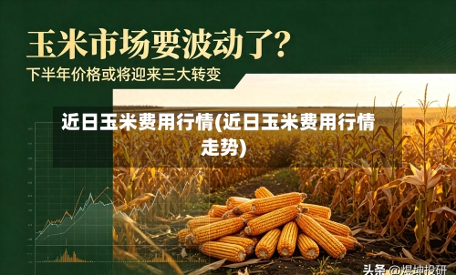 近日玉米费用行情(近日玉米费用行情走势)-第3张图片