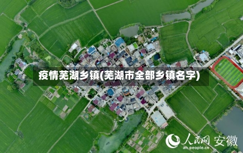 疫情芜湖乡镇(芜湖市全部乡镇名字)