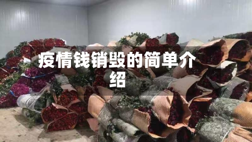 疫情钱销毁的简单介绍
