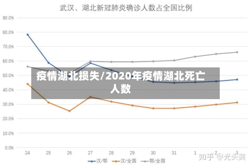 疫情湖北损失/2020年疫情湖北死亡人数-第2张图片