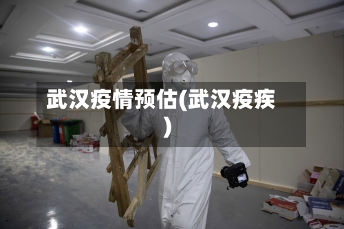 武汉疫情预估(武汉疫疾)-第3张图片