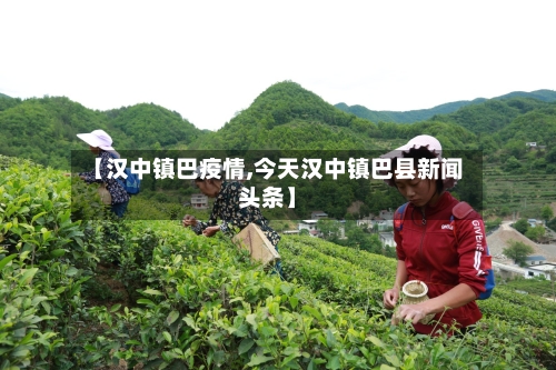 【汉中镇巴疫情,今天汉中镇巴县新闻头条】