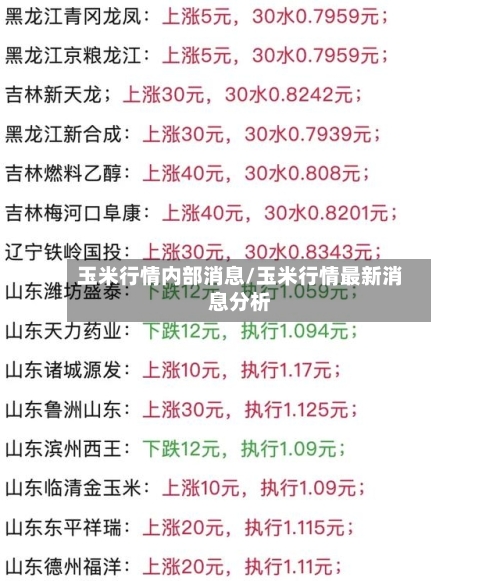 玉米行情内部消息/玉米行情最新消息分析